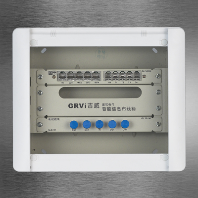 GVX1-B137